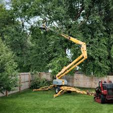 Best Tree Preservation Services  in East Rutherford, NJ