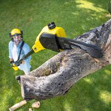 Landscape Design and Installation in East Rutherford, NJ