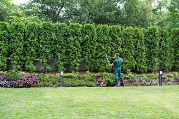 Best Artificial Turf Installation  in East Rutherford, NJ